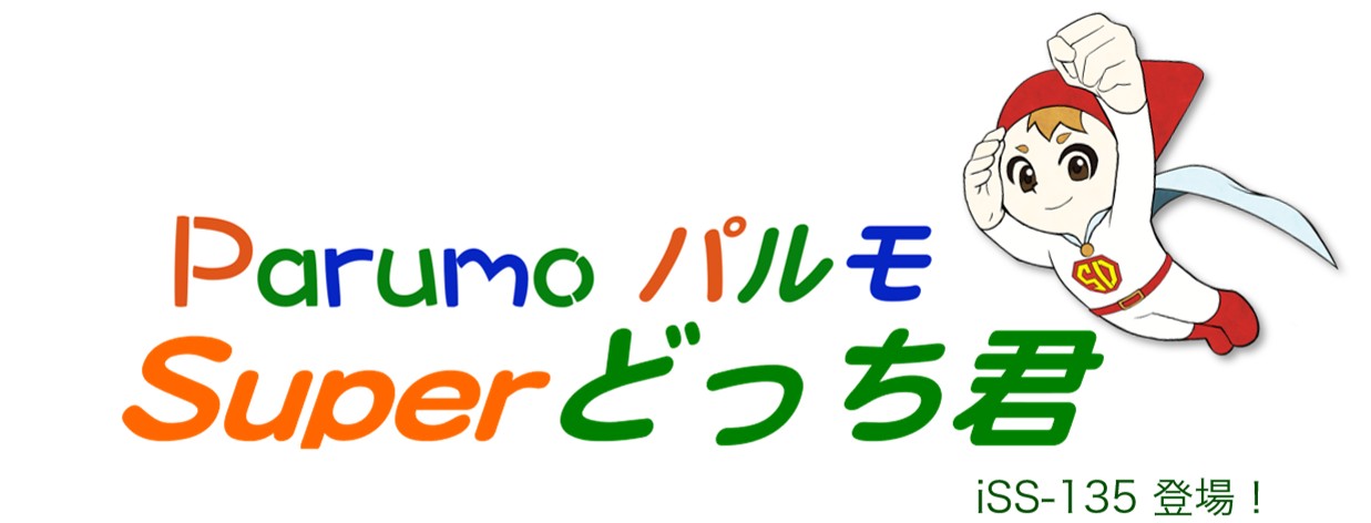 見守りシステム
